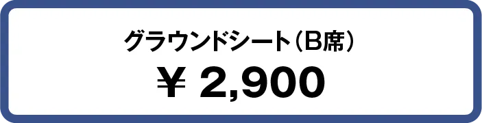 楽天チケット グラウンドシート(B席) 2,900円